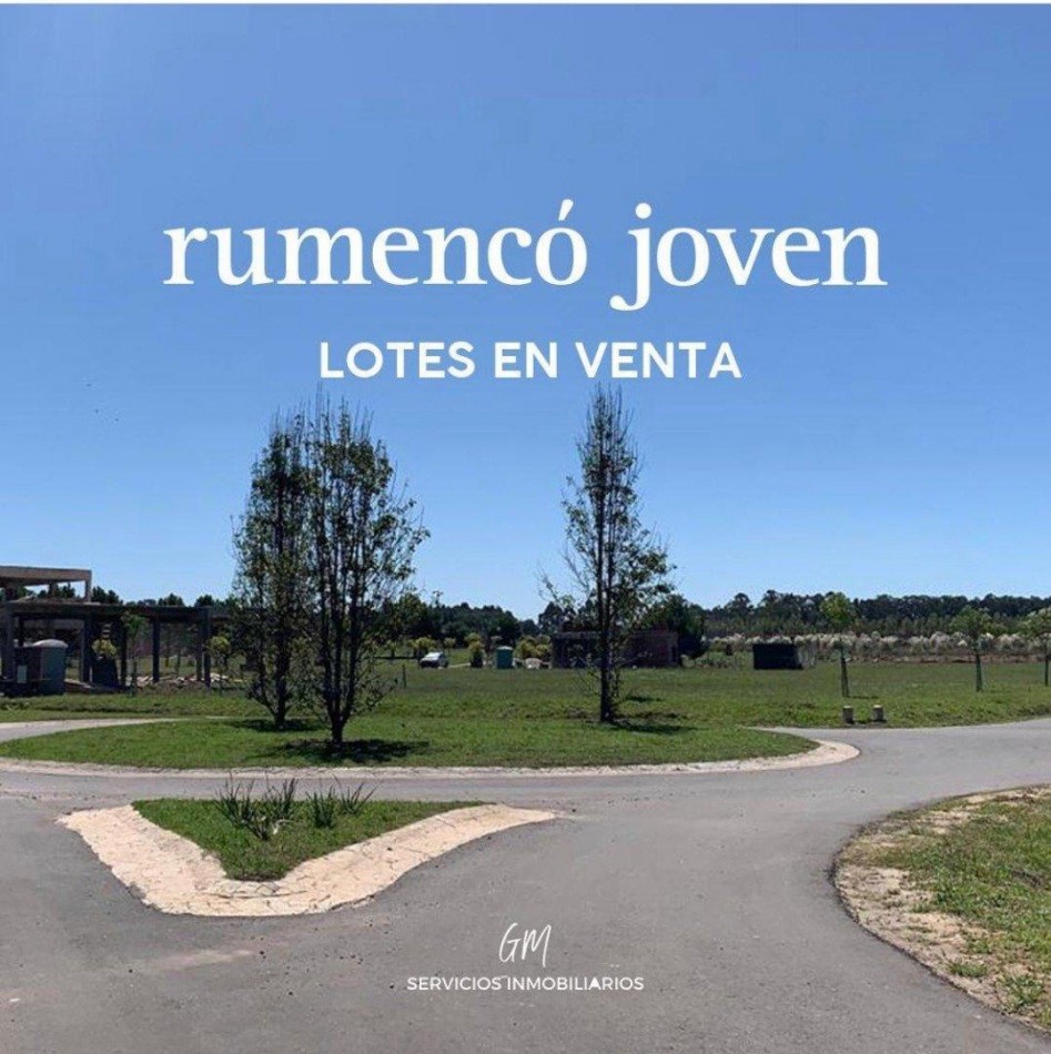 Lote en Venta Rumenco Joven