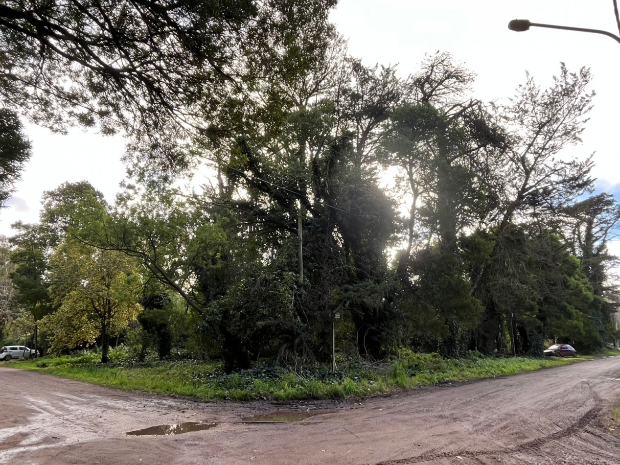 Terreno en Bosque Peralta Ramos