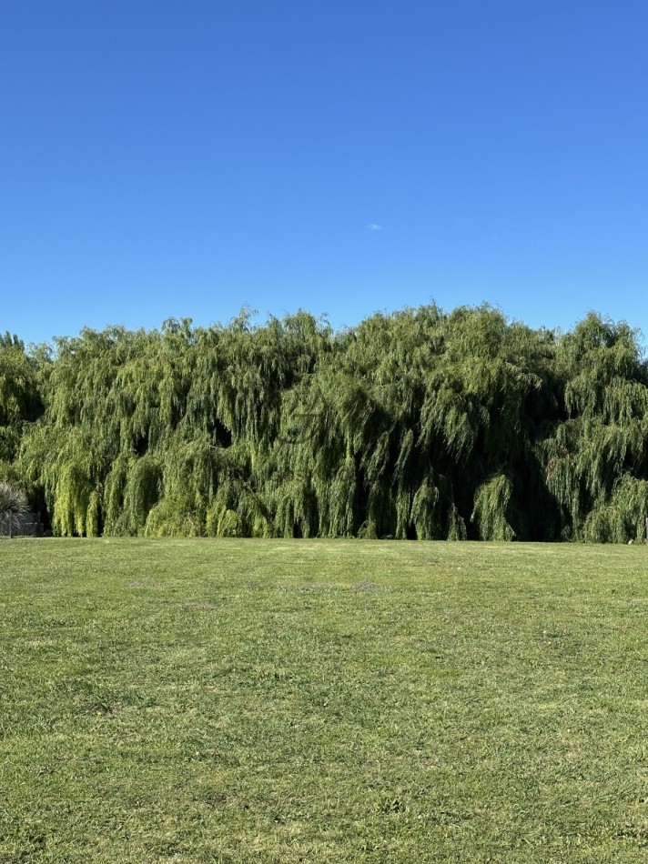 Lote en venta en Rumenco