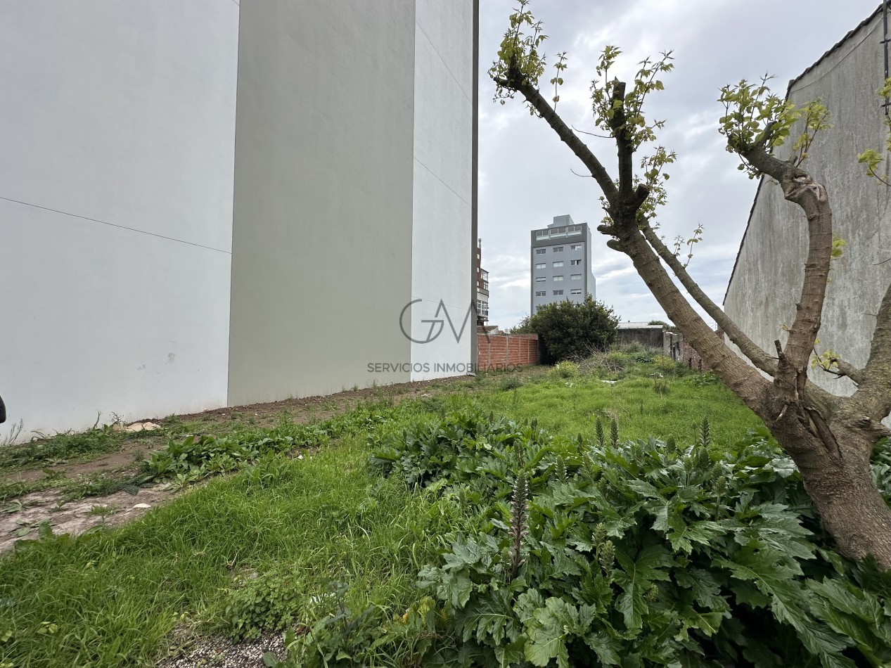 Lote en venta Punta Mogotes
