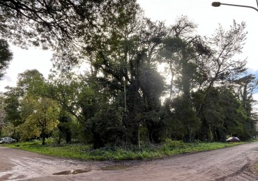 Terreno en Bosque Peralta Ramos
