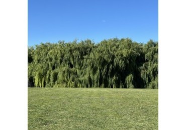 Lote en venta en Rumenco